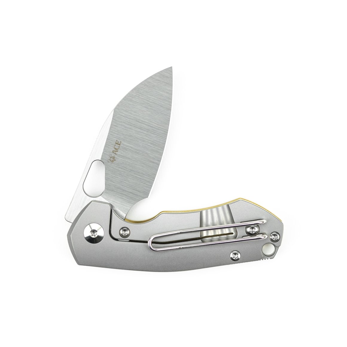 Profile-3_b87f72bf-8b50-4d99-8b35-ea6dc71ecb43_1160xAE2BT2wJD4eJl Giantmouse ACE RIV Titanium
