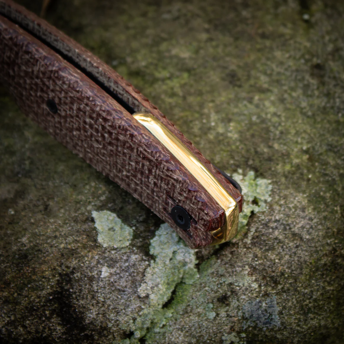 GiantMouse ACE Jagt  – Bild 5