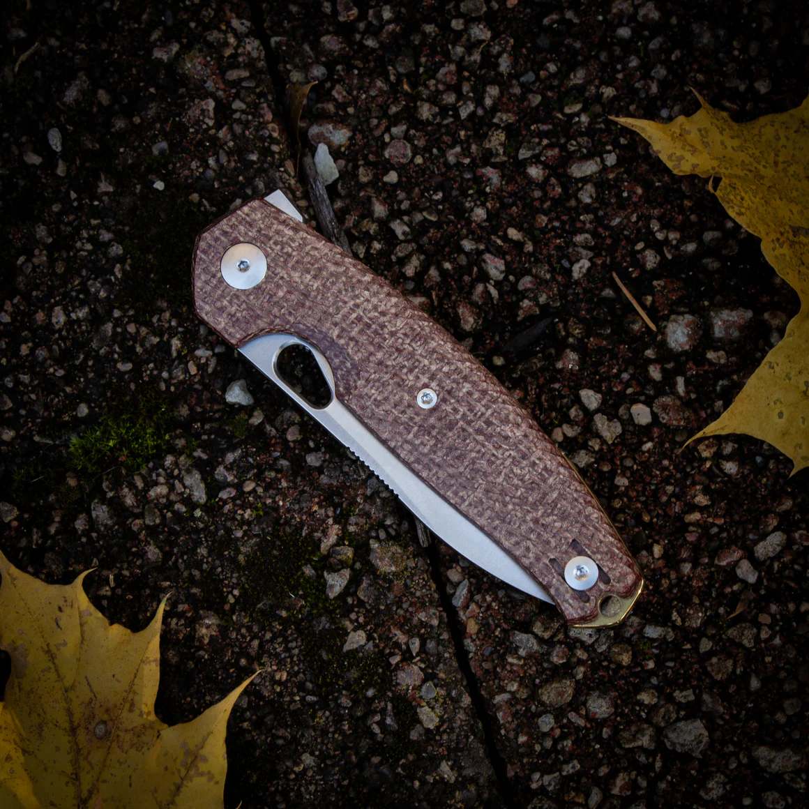 GiantMouse ACE Jagt  – Bild 3