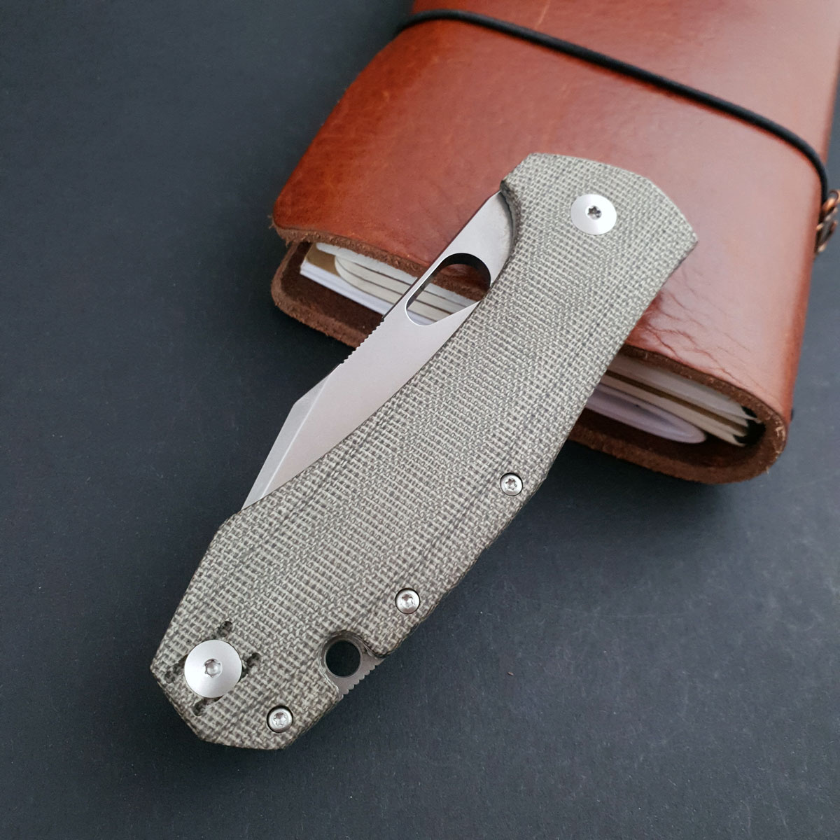 GiantmouseAceCrandFront GiantMouse Ace Grand