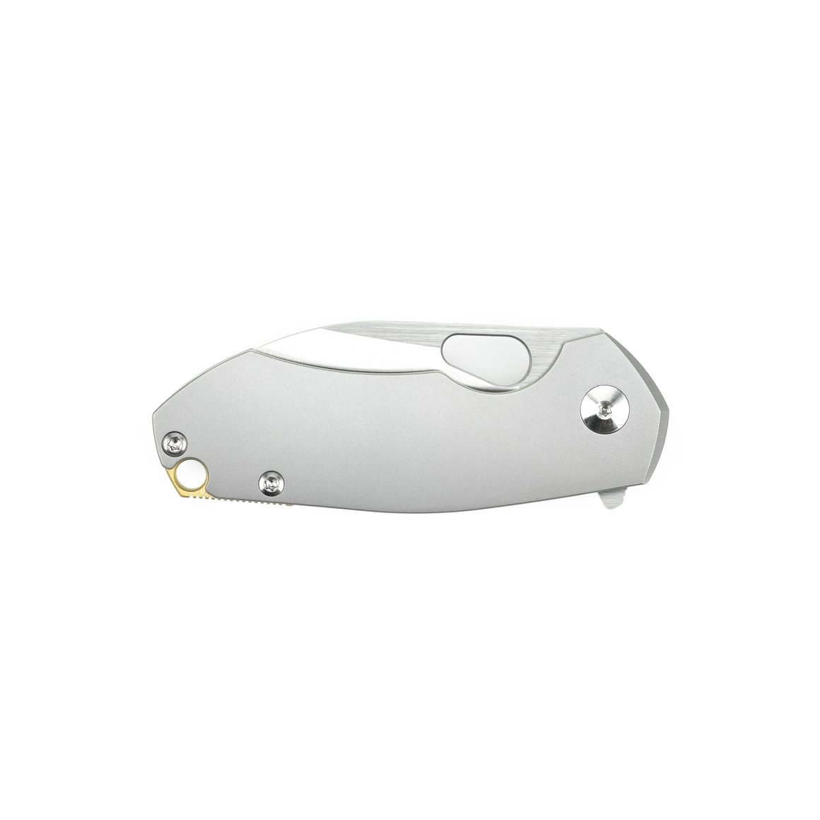 Profile-4_fc3e4959-8df3-4d51-908e-2f614b5762cb_1160x Giantmouse ACE RIV Titanium