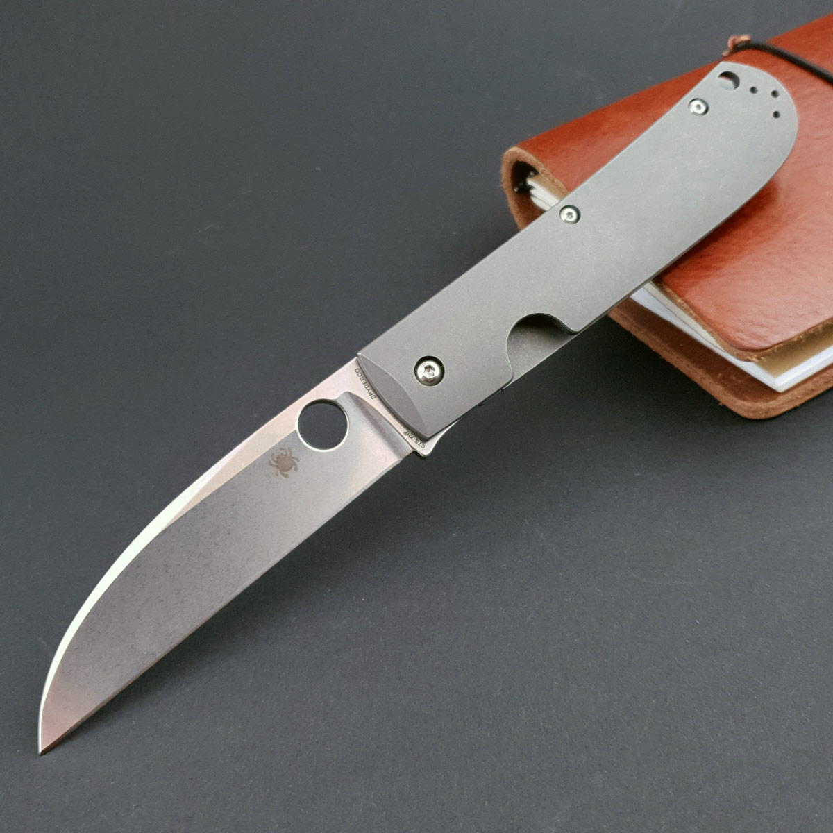 Spyderco SwayBack