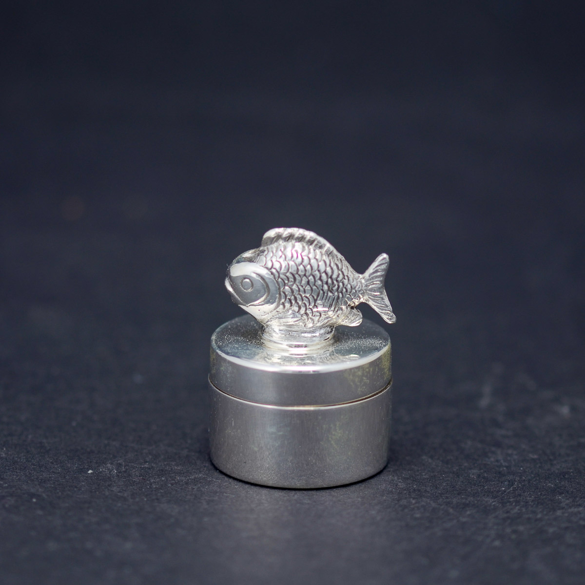 Silber, Tier, Fische, Leben im Meer