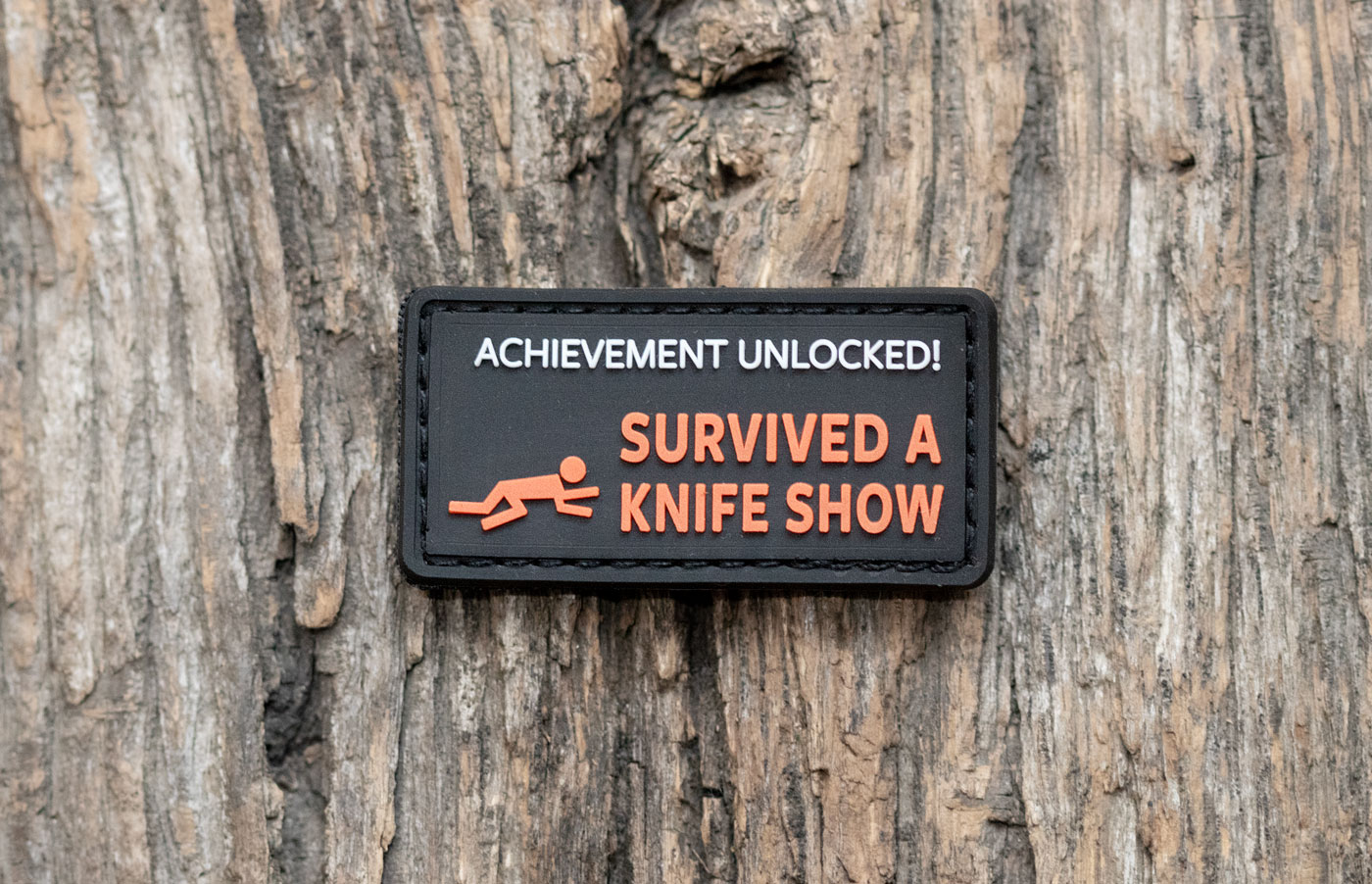 achievement_survived